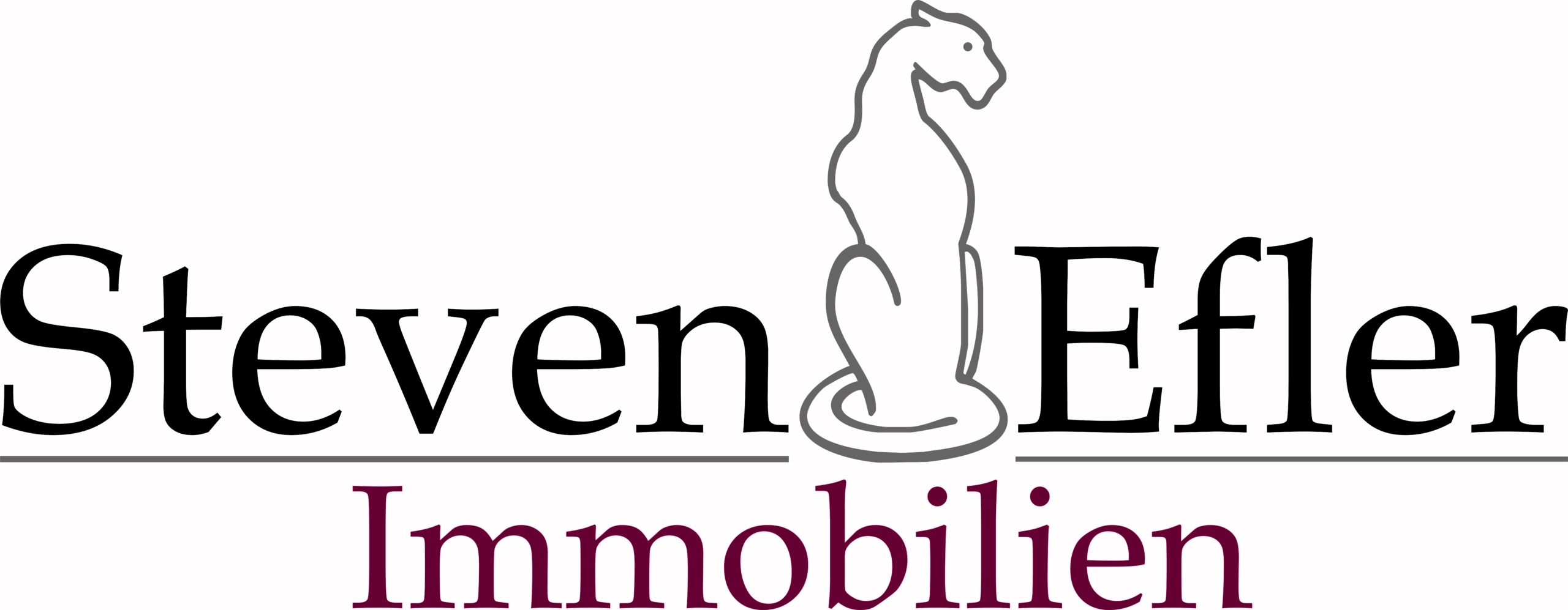 Steven Efler Immobilien